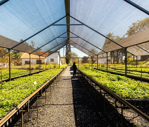 Notícias: Nova Fábrica sustentável do Grupo Heineken